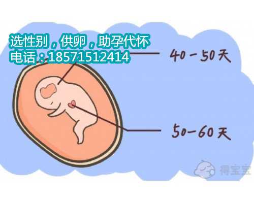 苏州供卵代生小孩过程 苏州辅助生殖医院排名前十名有哪些