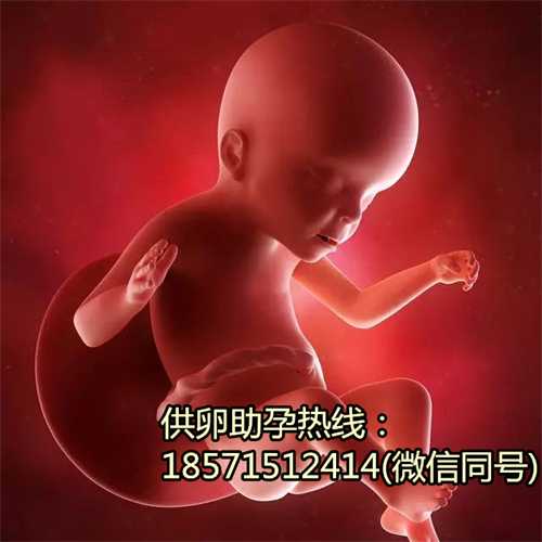 苏州供卵代生宝宝花费:ECO-IF瓦西里夫纳，一位试管成功率高达70%的试管医生