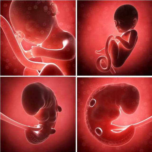 苏州包生男孩吗-精胎儿宝宝在妈妈肚子里旋转翻身，作为孕妈妈是怎样的感觉
